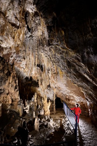 Grotte de Labouiche (Ariège) - Salle Reynald avec ses stalactites, draperies et stalagmites (dans la descente à l'embarcadère)(SP-23-1695)